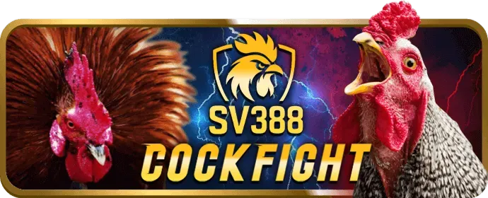 Đăng nhập và bắt đầu chơi trên ne88 bet